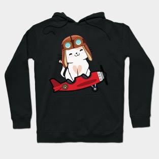 Cute Persian cat is in a vintage plane Hoodie